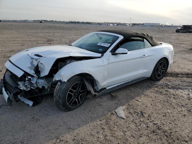 2019 FORD MUSTANG  2019 image