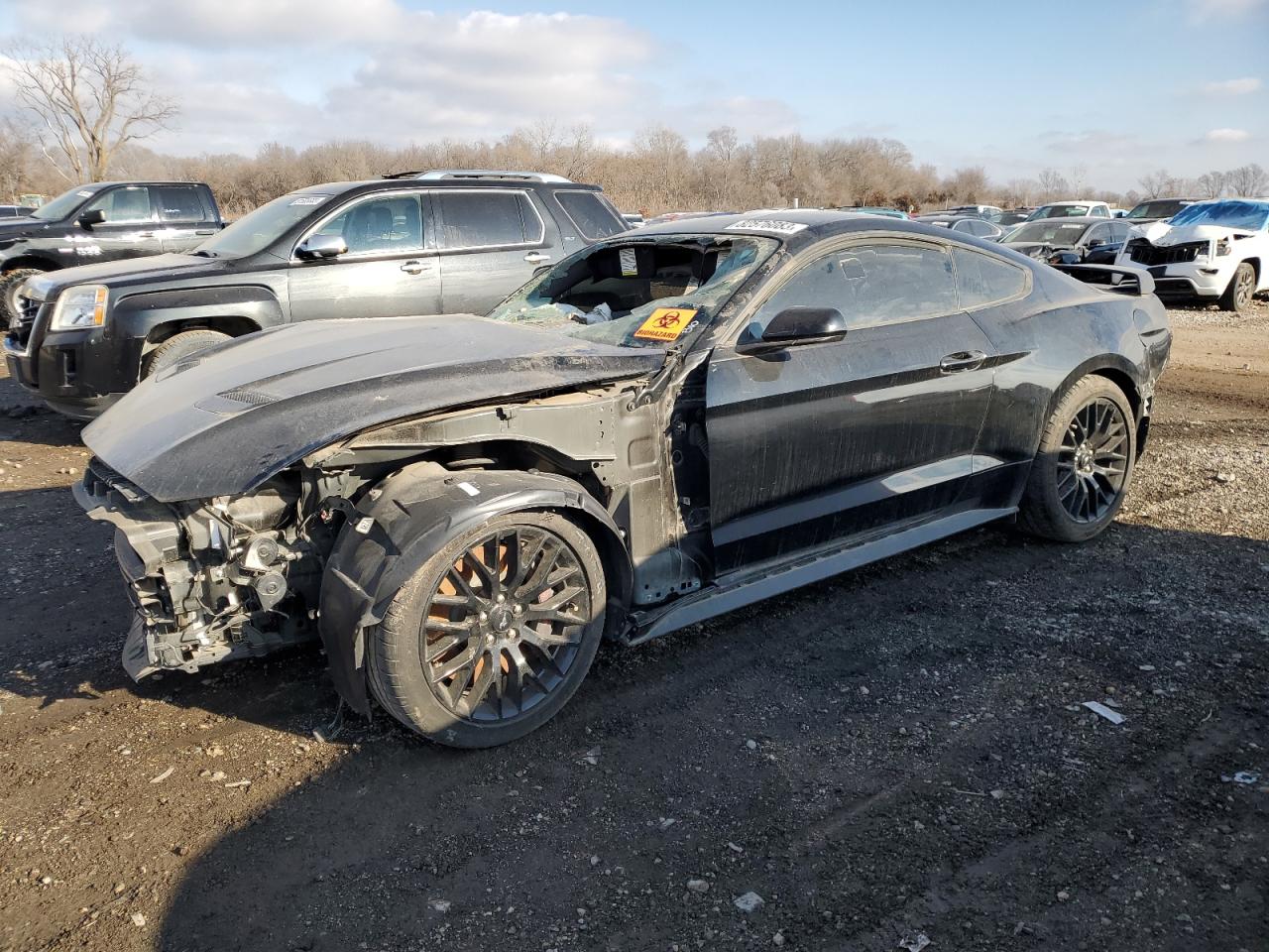 Obraz 2020 FORD MUSTANG GT 2020
