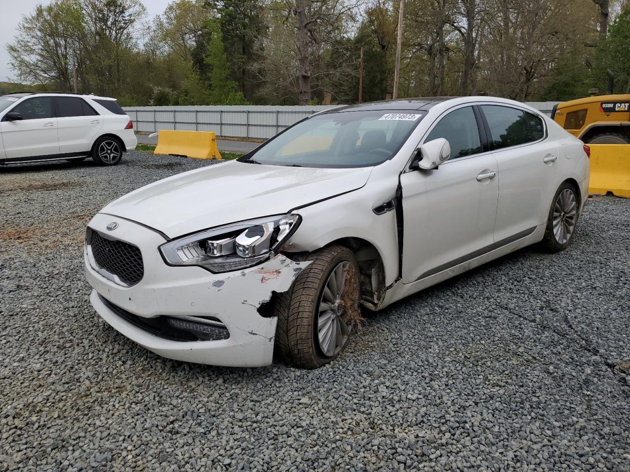 Kia K900 2015 image