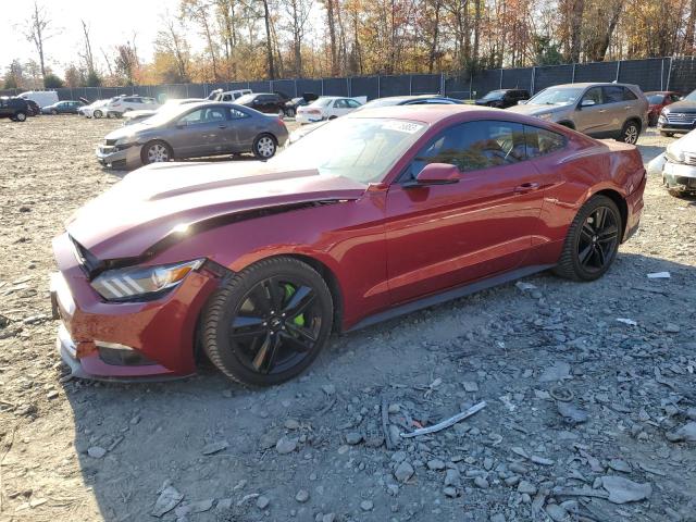 2017 FORD MUSTANG  2017 image