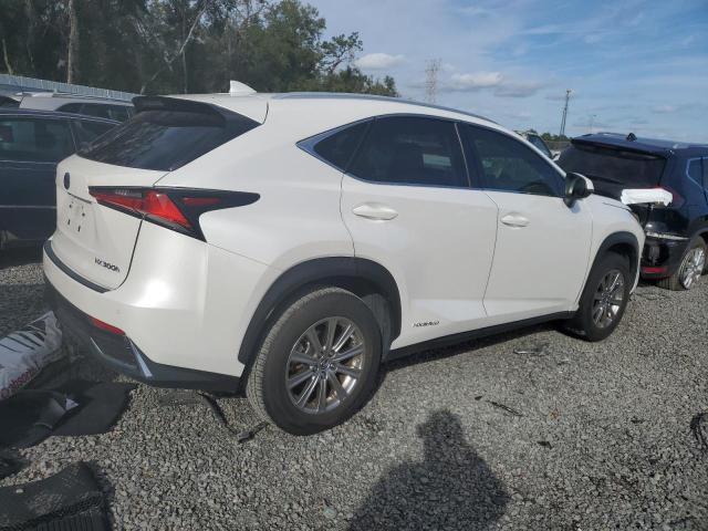 Obraz 3 z 2020 LEXUS NX 300H 2020 z VIN JTJDJRDZ4L5004469