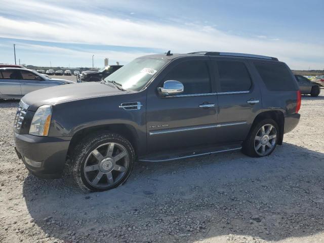 2010 CADILLAC ESCALADE LUXURY 2010 image