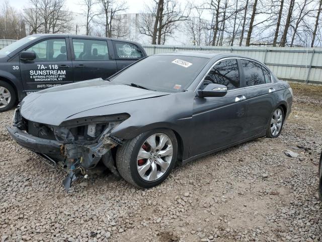 2008 HONDA ACCORD EXL 2008 image