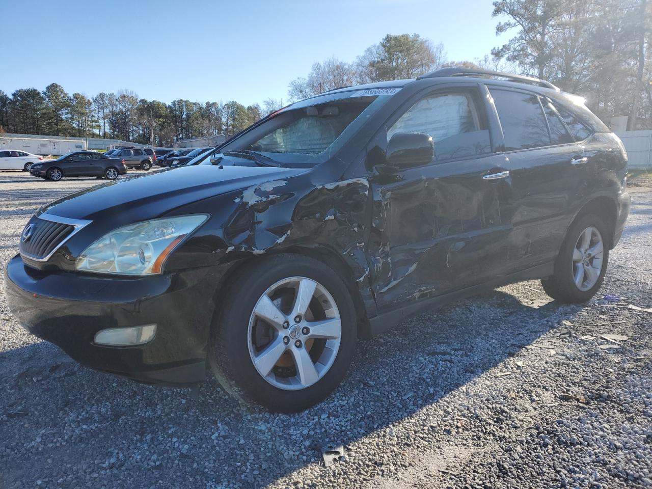 Obraz 2008 LEXUS RX 350 2008