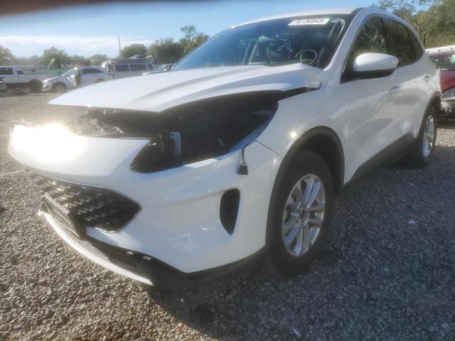 Image 1 of 2020 FORD ESCAPE SE 2020 with VIN 1FMCU9G66LUA26983
