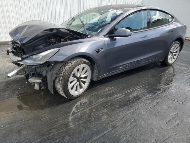 2023 TESLA MODEL 3  2023 image