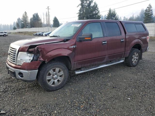 Image 1 of 2010 FORD F-150 SUPERCREW 2010 with VIN 1FTFW1EV8AFB93080