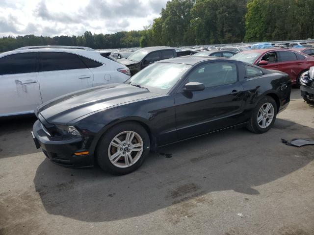 Image 1 of 2014 FORD MUSTANG  2014 with VIN 1ZVBP8AM6E5282205