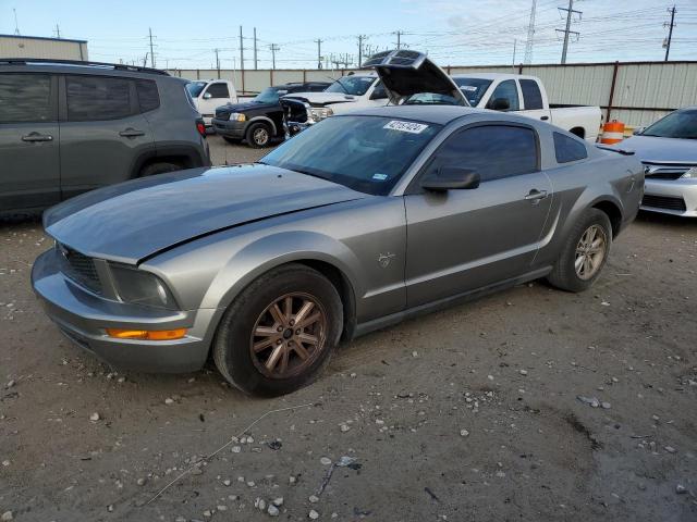 2009 FORD MUSTANG  2009 image