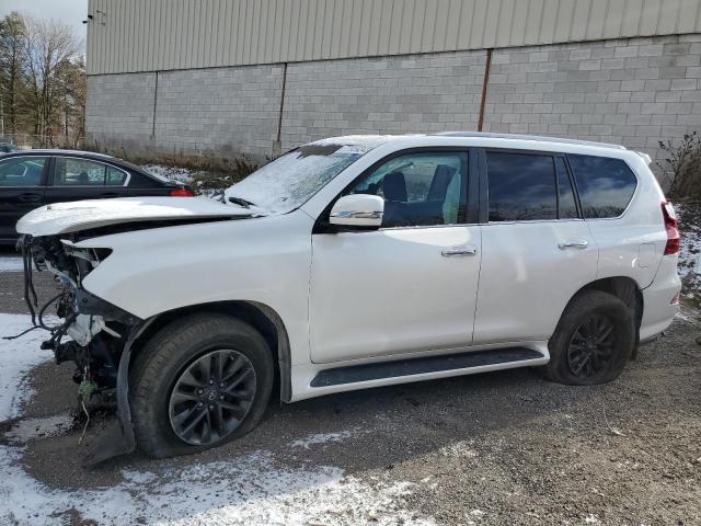 Obraz 2020 LEXUS GX 460 LUXURY 2020