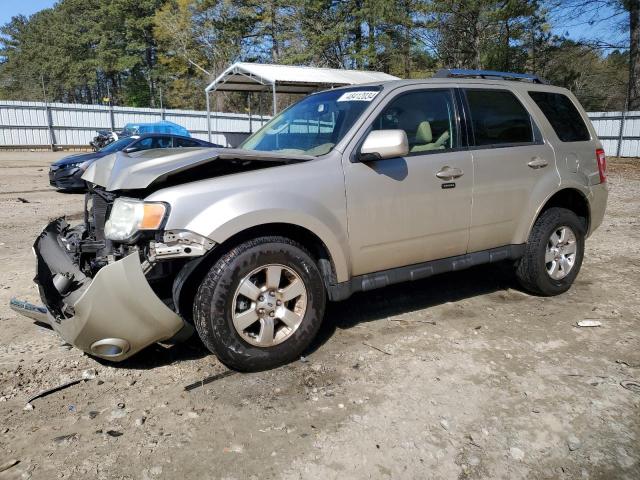 2010 FORD ESCAPE LIMITED 2010 image
