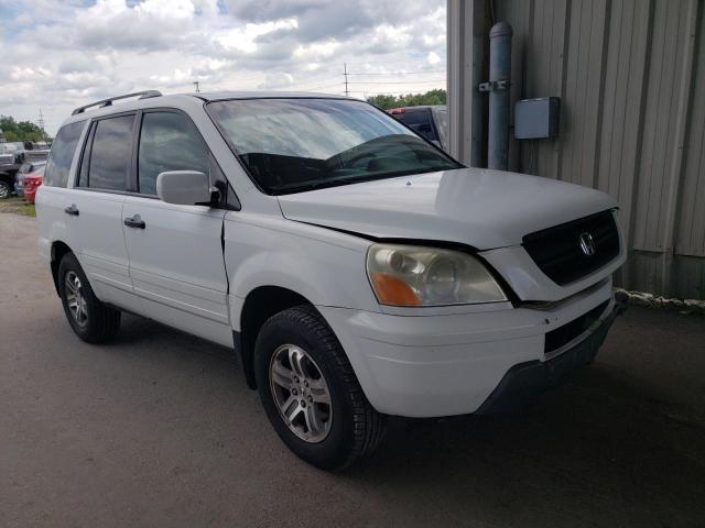 2005 HONDA PILOT EXL 2005 image
