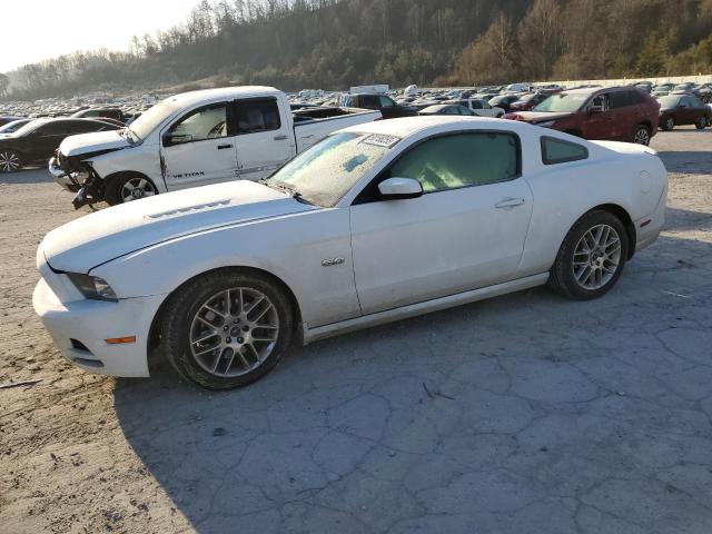 2014 FORD MUSTANG GT 2014 image