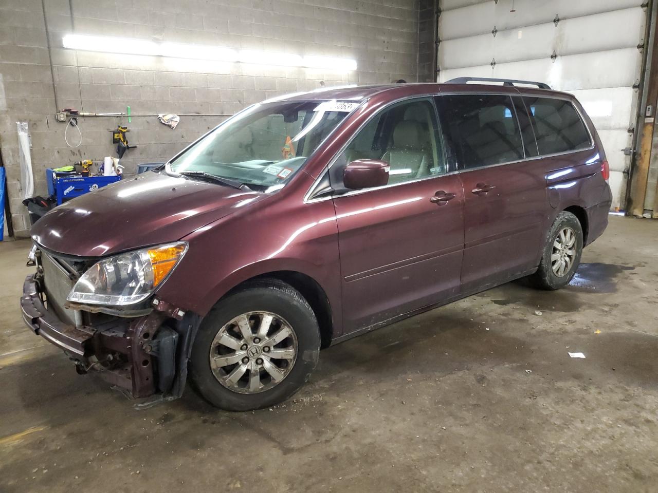 2008 HONDA ODYSSEY EXL 2008 image