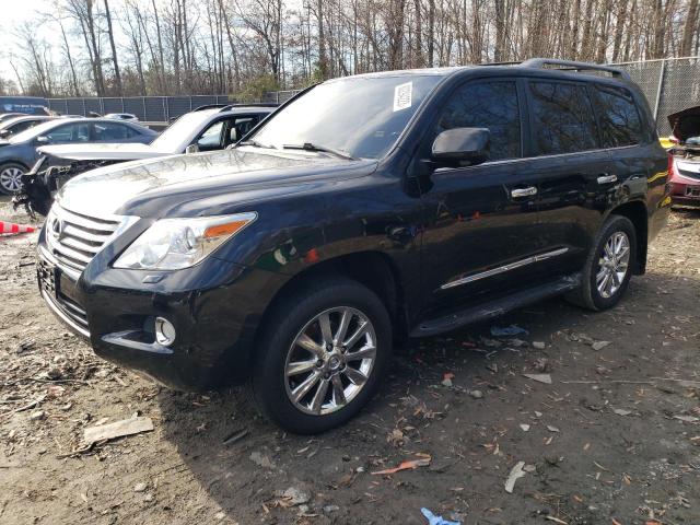 2010 LEXUS LX 570 2010 image