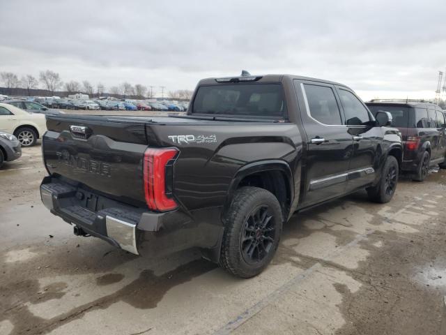 Obraz 3 z 2023 TOYOTA TUNDRA CREWMAX PLATINUM 2023 z VIN 5TFMC5DB9PX032125