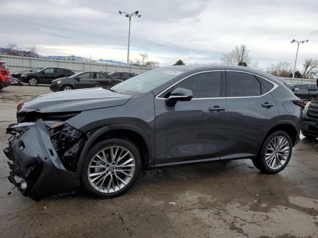 2024 LEXUS NX 350 LUXURY 2024 image