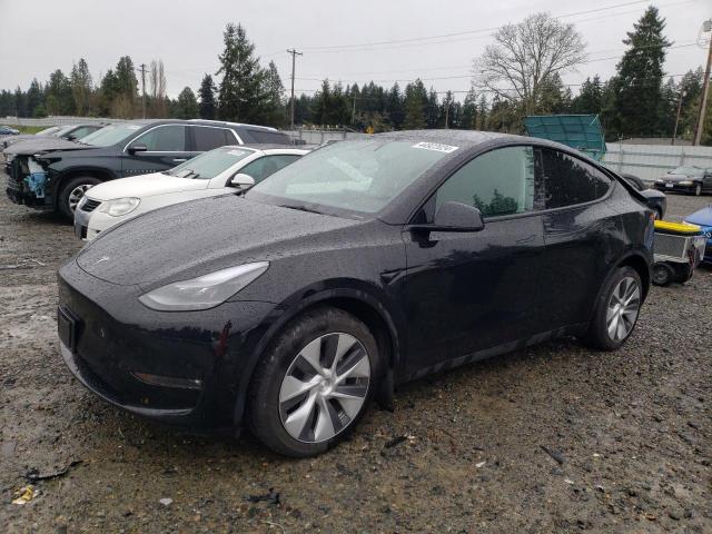 2023 TESLA MODEL Y  2023 image