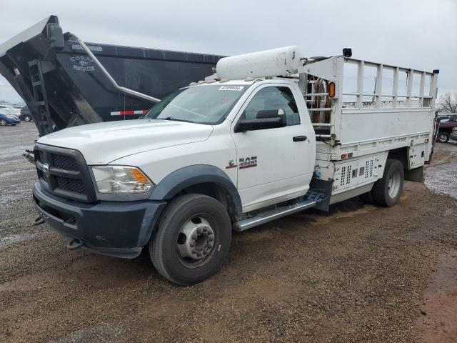 Obraz 2013 RAM 4500  2013