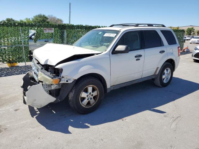 2011 FORD ESCAPE XLT 2011 image