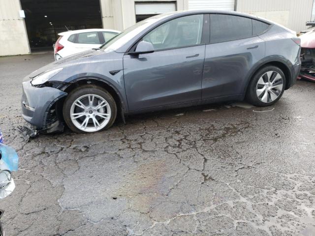 2023 TESLA MODEL Y  2023 image
