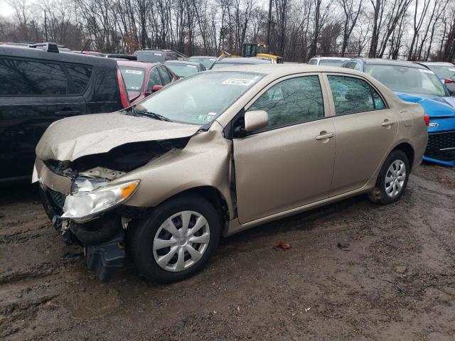 Obraz 1 z 2010 TOYOTA COROLLA BASE 2010 z VIN 2T1BU4EE5AC299310