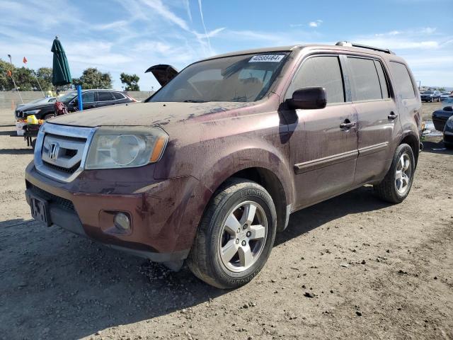 Изображение 1 2009 HONDA PILOT EXL 2009 с VIN 5FNYF38559B001419