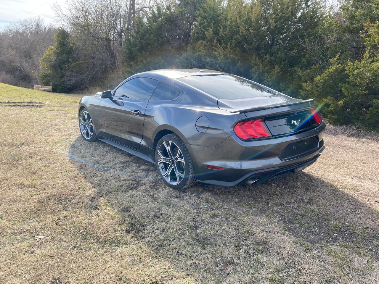 Изображение 3 2019 FORD MUSTANG  2019 с VIN 1FA6P8TH5K5105926