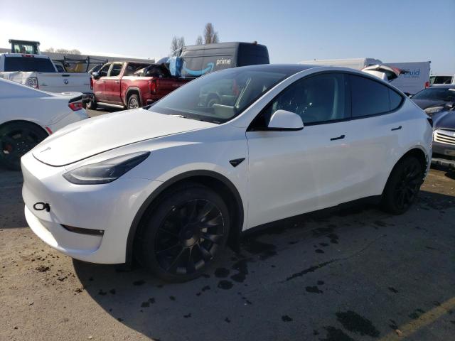 Изображение 1 2023 TESLA MODEL Y  2023 с VIN 7SAYGDEEXPF590250