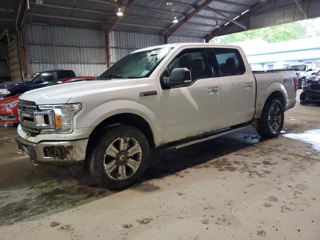 Image 1 of 2019 FORD F150 SUPERCREW 2019 with VIN 1FTEW1E55KKF30499