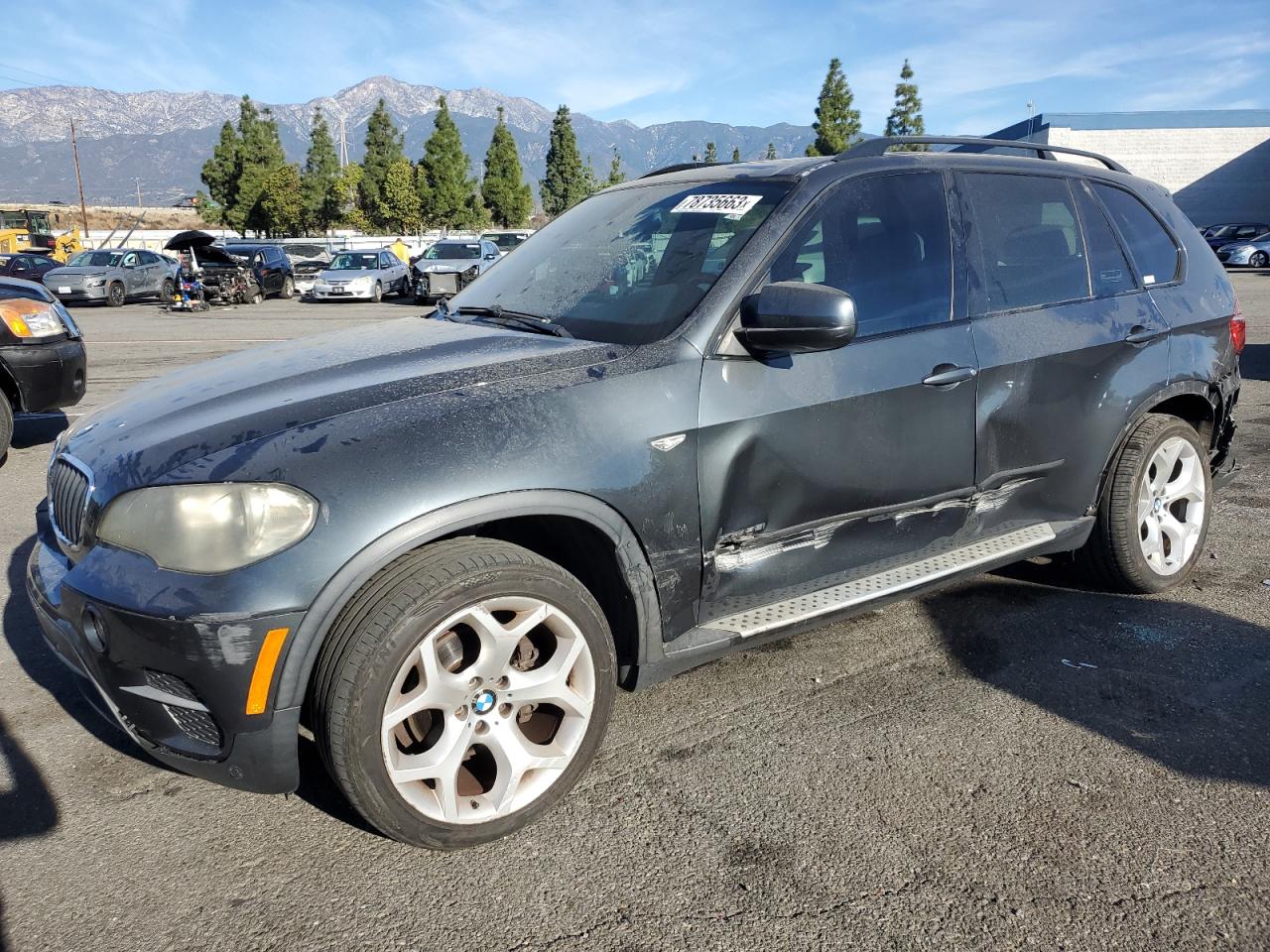 2011 BMW X5 XDRIVE35I 2011 image