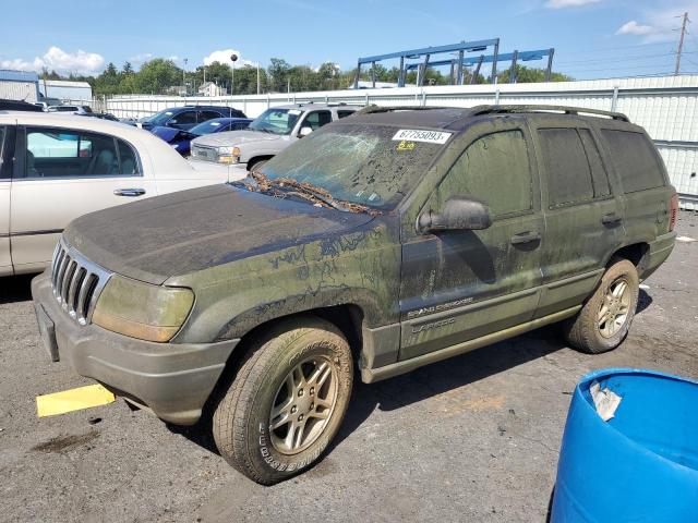 Изображение 1 2002 JEEP GRAND CHEROKEE LAREDO 2002 с VIN 1J4GW48S02C172907