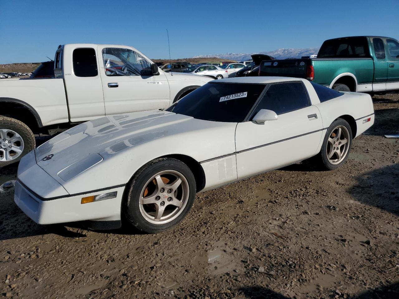 Obraz 1984 CHEVROLET CORVETTE  1984