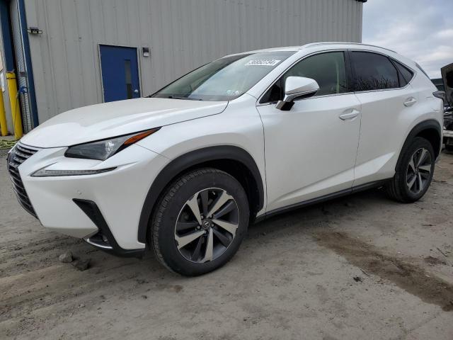 2019 LEXUS NX 300 BASE 2019 image