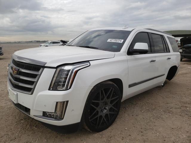 Obraz 2019 CADILLAC ESCALADE LUXURY 2019
