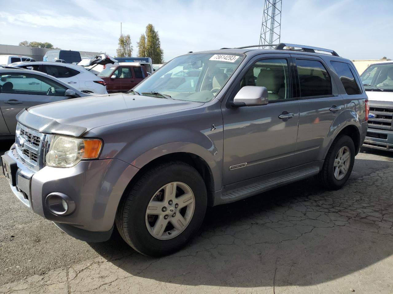 2008 FORD ESCAPE HEV 2008 image