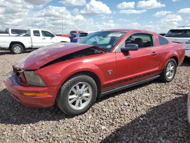 2009 FORD MUSTANG  2009 image