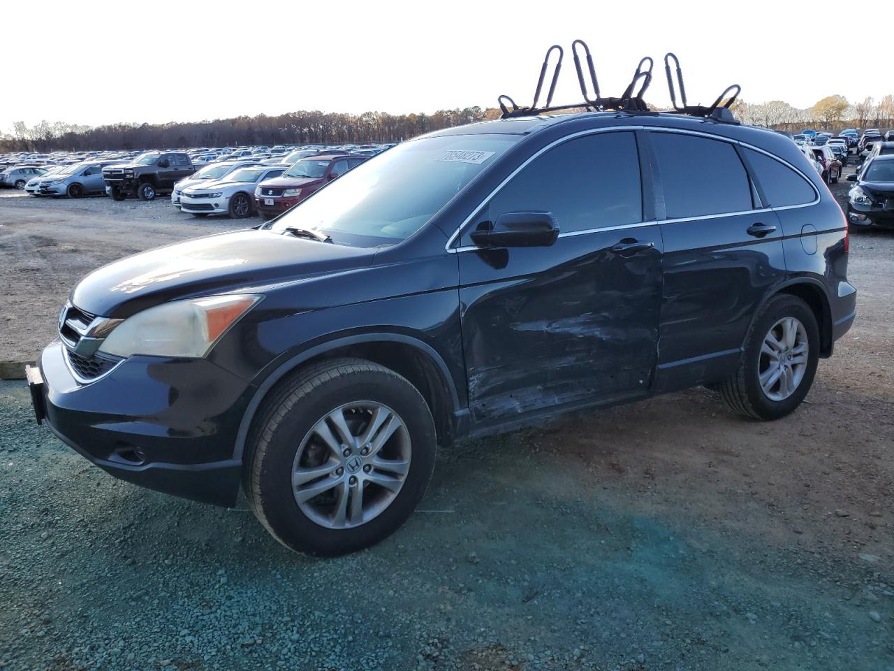 2010 HONDA CR-V EXL 2010 image