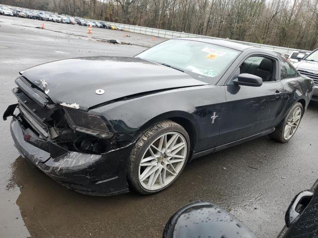 Obraz 2014 FORD MUSTANG  2014