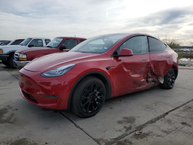 2023 TESLA MODEL Y  2023 image