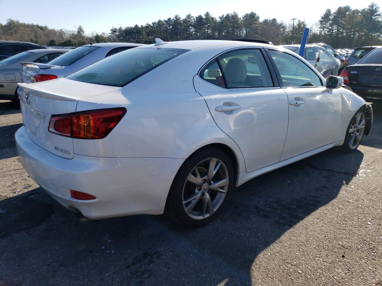 Изображение 3 2009 LEXUS IS 250 2009 с VIN JTHBK262295106519