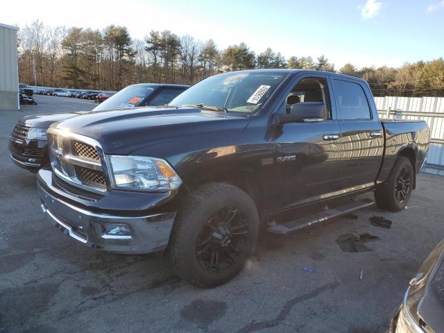 2009 DODGE RAM 1500  2009 image
