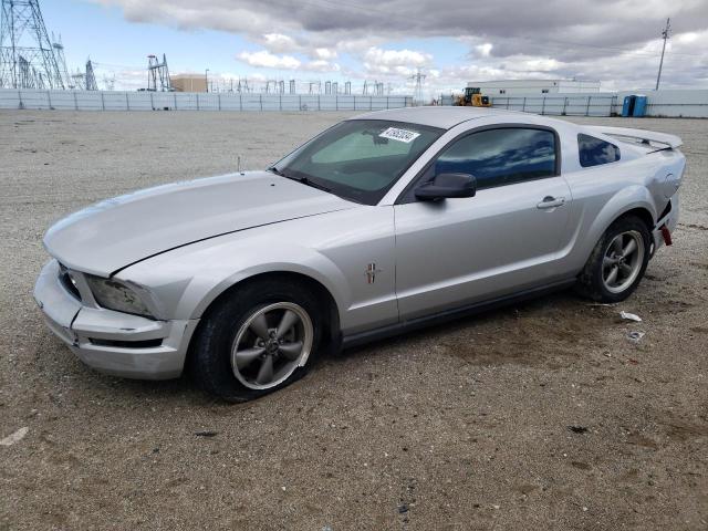 2006 FORD MUSTANG  2006 image