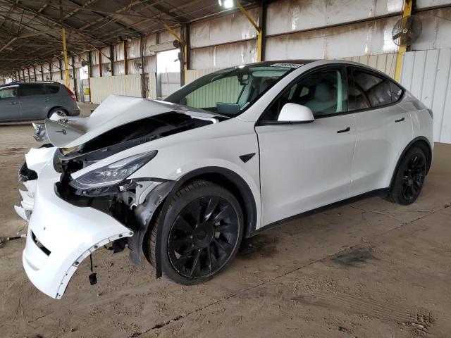 2021 TESLA MODEL Y  2021 image