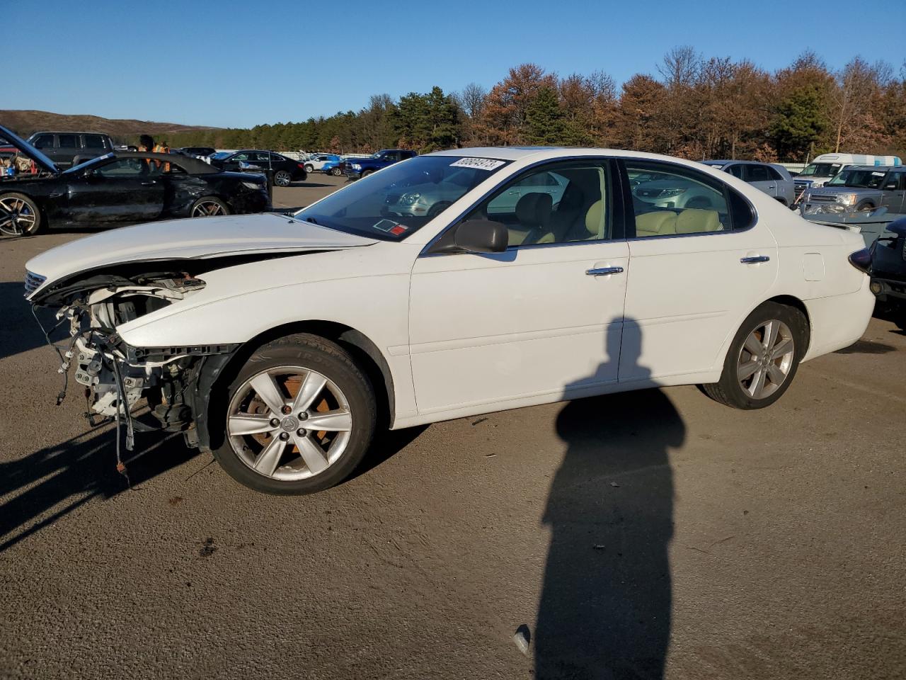 Obraz 2005 LEXUS ES 330 2005