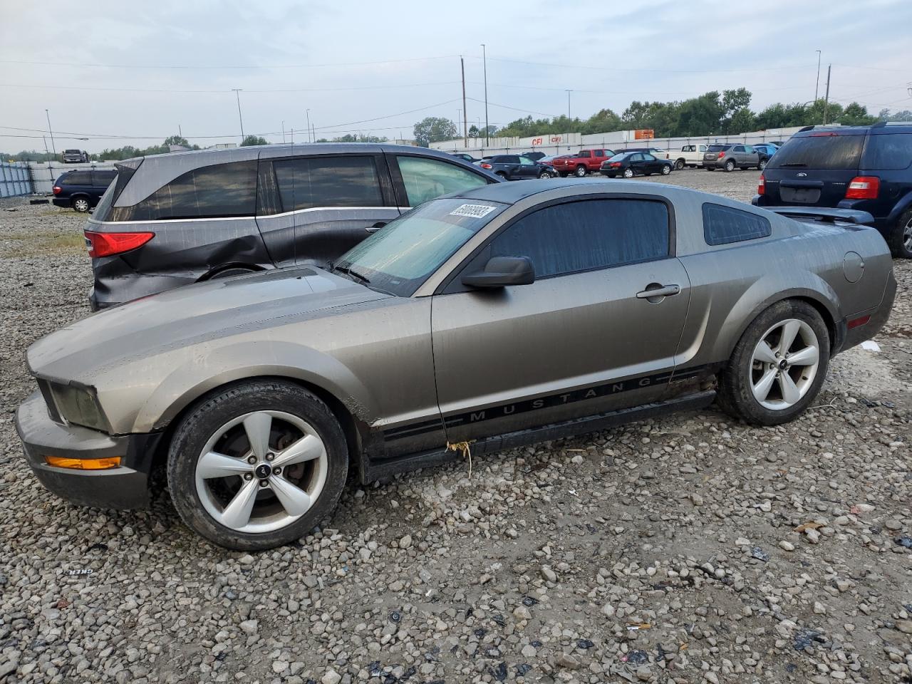 2005 FORD MUSTANG  2005 image