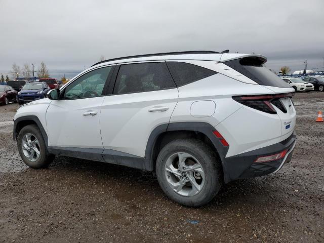 Image 2 of 2022 HYUNDAI TUCSON SEL 2022 with VIN KM8JCCAE8NU126884