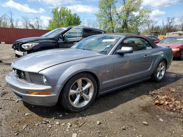 2007 FORD MUSTANG  2007 image