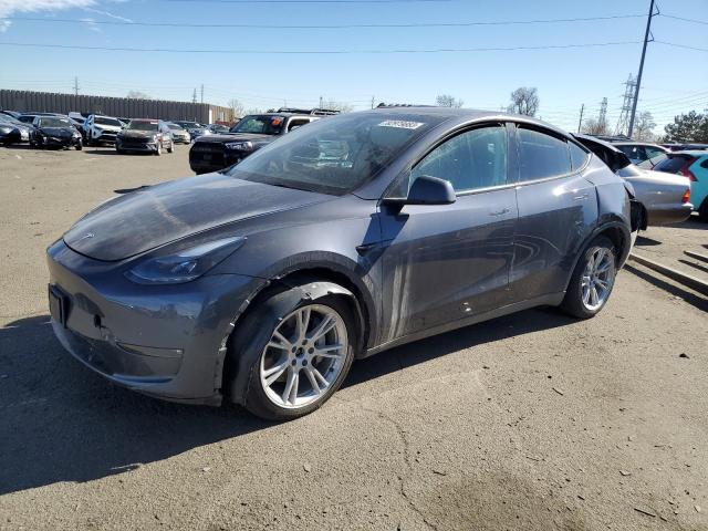2023 TESLA MODEL Y  2023 image