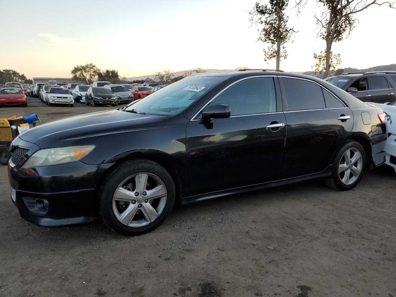Obraz Toyota Camry Base 2010